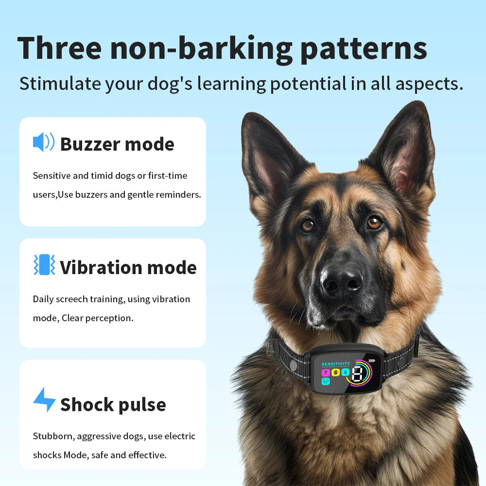 The Most Effective Anti-Bark Collar of 2025