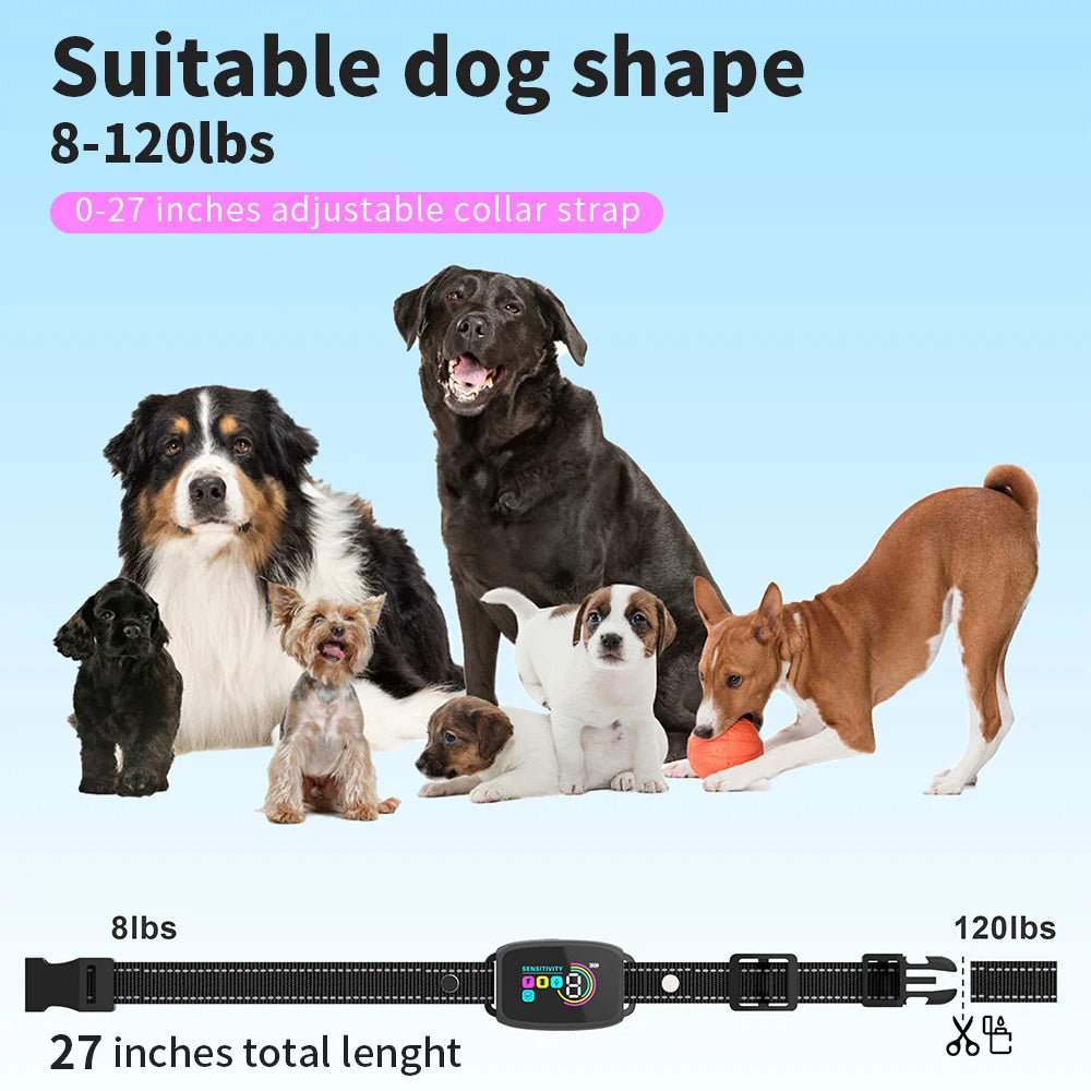 The Most Effective Anti-Bark Collar of 2025